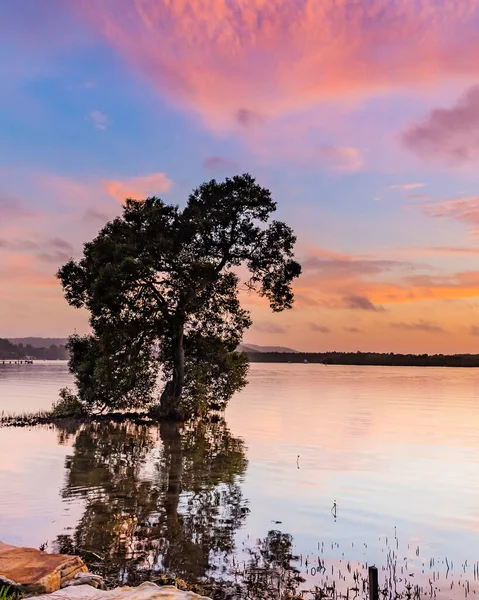 Capturando Amanecer Desde Woy Woy Waterfront Costa Central Nsw Australia — Foto de Stock