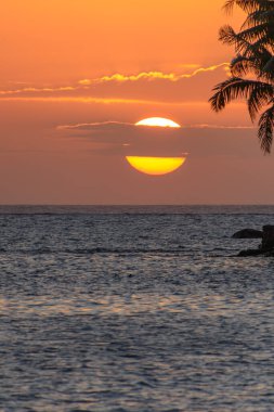 Palmiye ağaçlı tropik günbatımı. Fiji 'nin Coral Sahili' nde çekildi..
