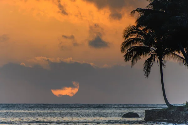 Tropical Sunset Palm Trees Silhouette Taken Coral Coast Fiji — 图库照片