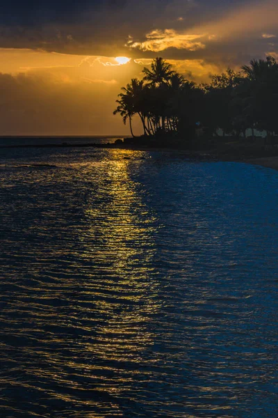 Coucher Soleil Tropical Avec Palmiers Silhouette Pris Sur Côte Corallienne — Photo