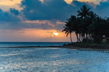 Siluette Palm Trees 'li Tropik Günbatımı. Fiji 'nin Coral Sahili' nde çekildi..