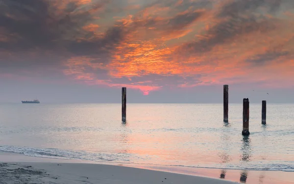 Zon Gaat Onder Aan Westkust Bij Coogee Jetty Coogee Beach — Stockfoto