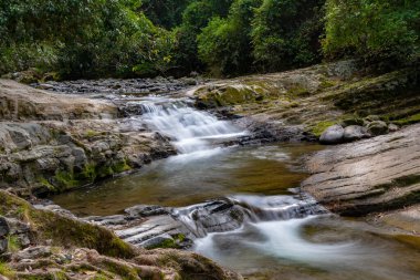 Gresford, NSW, Avustralya yakınlarındaki Allyn Nehri 'nde akan akarsu.