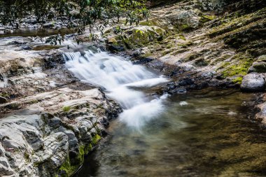 Gresford, NSW, Avustralya yakınlarındaki Allyn Nehri 'nde küçük bir şelale ve dere.