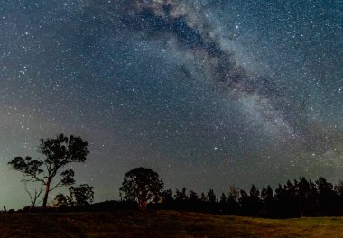 Gece Yıldızlı Samanyolu Ağaçlı Kırsal Arazi