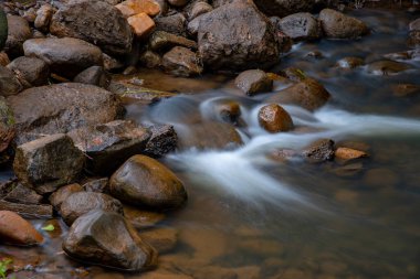Gündüz saatlerinde Canning Nehri 'nde kayalar ve suyla Avocados, Kelmscott, Perth, Batı Avustralya' da çekilmiş..