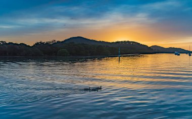 Körfezde gündoğumu su manzarası. Woy Woy Waterfront Merkez Sahili, NSW, Avustralya.