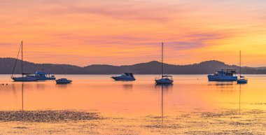 Koolewong Sahili 'nden gündoğumunu görüntülemek, NSW, Avustralya.