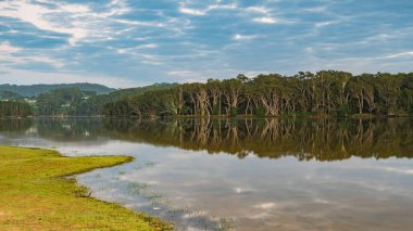 Avoca Lagoon 'un yansımalarıyla birlikte gündoğumu su manzarası Central Coast, NSW, Avustralya.
