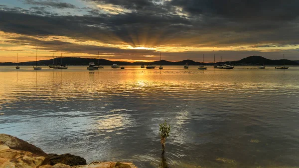 Sunrise Koolewong Foreshore Koolewong Central Coast Nsw Australia — Stock Photo, Image