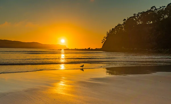 Sunrise Seascape Taken Vid Umina Point Umina Beach Central Coast — Stockfoto