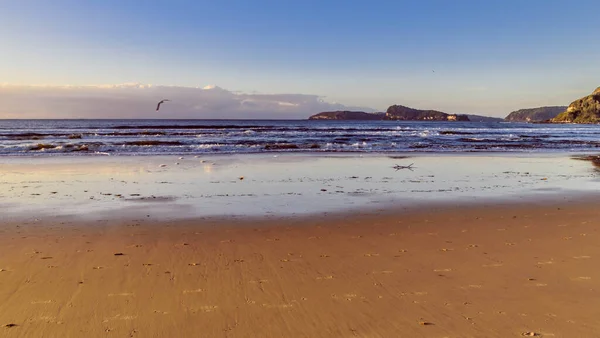 Meereslandschaft Frühen Morgen Umina Beach Central Coast Nsw Australien — Stockfoto