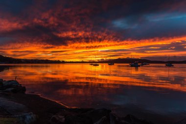Körfezin üzerinde yansımalarla birlikte sansasyonel gündoğumu. Koolewong, Merkez Sahili, NSW, Avustralya