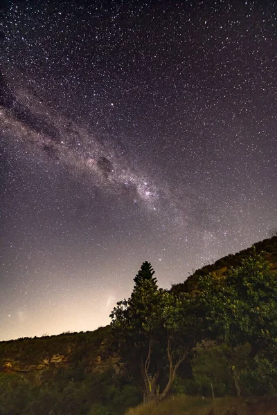 Stars Milky Way Night Sky Headland Trees Taken Killcare Beach — Stock Photo, Image