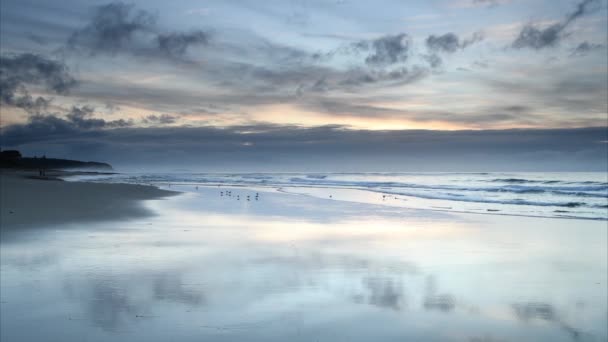 雲と優しい淡いブルーの日の出の海 — ストック動画