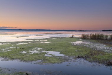 Avustralya, NSW 'nin merkez kıyısındaki Long Jetty' de gün batımı ve deniz aygırı..