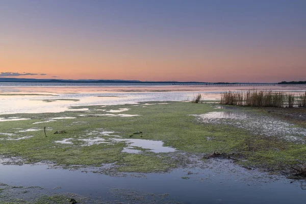 Sonnenuntergang Und Seegras Long Jetty Der Zentralküste Von Nsw Australien — Stockfoto