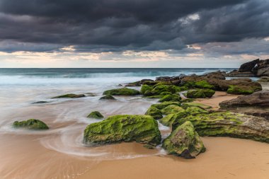 Central Coast, NSW, Avustralya 'daki Killcare Sahili' nde gündoğumu ve yosunlu yeşil kayalar..