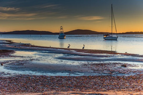 Waterscape Sunrise Com Barcos Pelicanos Henderson Park Lemon Tree Passage — Fotografia de Stock