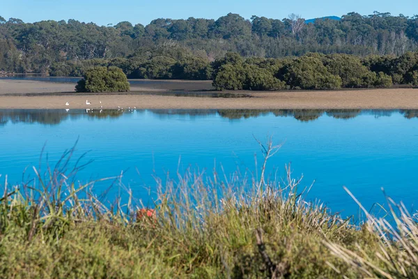 Waterscape Tomago River Tomakin South Coast Nsw Australia — Stock Photo, Image