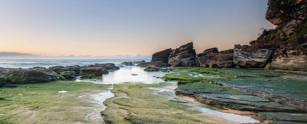 Central Coast, NSW, Avustralya 'daki Killcare Sahili' nde yosunlu yeşil kaya platformu ile gündoğumu deniz manzarası..