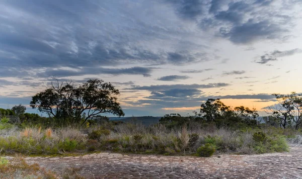 Pôr Sol Mato Com Pavimento Rochoso Tesselado Parque Nacional Bouddi — Fotografia de Stock