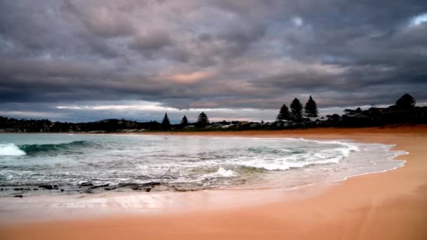 Overcast Sunrise Seascape North Avoca Beach Central Coast Nsw Australia — 비디오