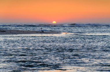 Avustralya, NSW 'nin merkez kıyısındaki The Entrance Channel' dan pelikan, martı ve hafif dumanlı Sunrise Seascape.