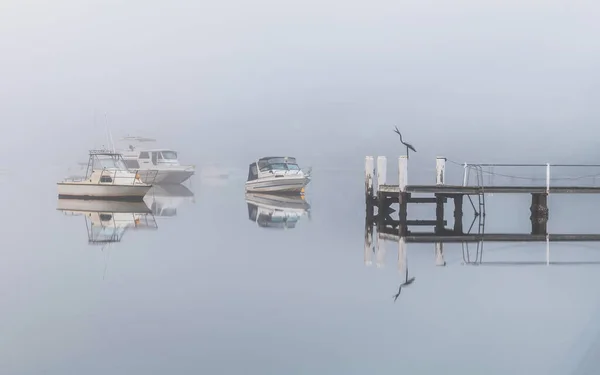 Περιτριγυρισμένο Από Πυκνές Βάρκες Ομίχλης Εμφανίζεται Μέσα Από Την Ομίχλη — Φωτογραφία Αρχείου