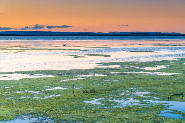 Puesta Sol Sobre Long Jetty Costa Central Nsw Australia — Foto de Stock