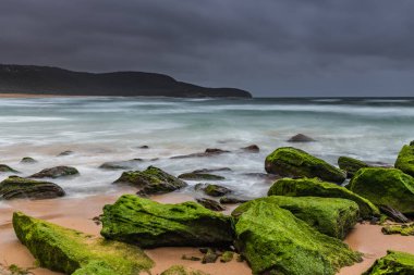 Central Coast, NSW, Avustralya 'daki Killcare Sahili' nde canlı yeşil yosunlu kayalarla bulutlu bir deniz doğumu..