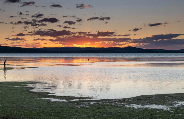 Puesta Sol Sobre Long Jetty Costa Central Nsw Australia — Foto de Stock