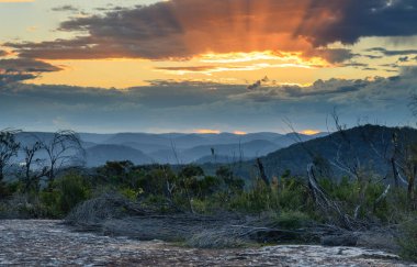 Avustralya, NSW 'nin merkez kıyısında, Patonga ve Pearl Beach arasındaki Bouddi Ulusal Parkı' nda Tessellated Rock Pavement ile çalılıklarda gün batımı..