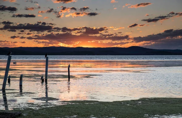 Puesta Sol Nubes Sobre Long Jetty Costa Central Nsw Australia — Foto de Stock