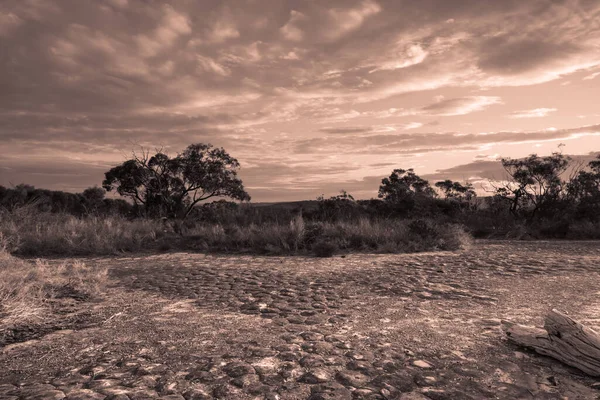 Zachód Słońca Buszu Aleją Tessellated Rock Parku Narodowym Bouddi Pomiędzy — Zdjęcie stockowe