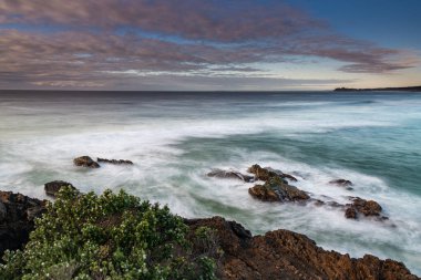 Avustralya, NSW 'nin güney kıyısındaki Tuross Head' de bir Tree Beach.