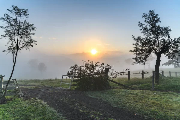 Wczesnym Rankiem Krajobraz Kraju Padokami Drzewami Gresford Hunter Region Nsw — Zdjęcie stockowe