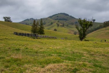 Avustralya, NSW 'nin Yukarı Avcı Bölgesi' nde Lostock yakınlarındaki Hilly kırsalında.