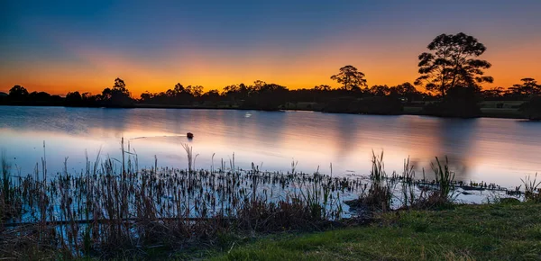 The night sky as sunset recedes and the stars appear over the dam at Mt Penang Gardens in Kariong on the Central Coast of NSW, Australia