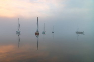 Yoğun bir sis bulutuyla kaplı tekneler, körfezin üzerindeki sisin içinde beliriyor. Koolewong Merkez Sahili, NSW, Avustralya.