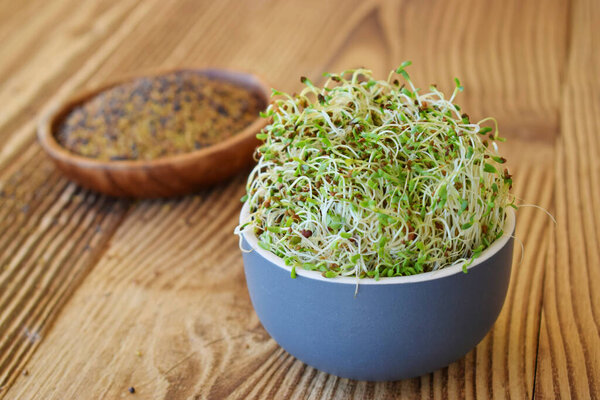 Вырастил семена люцерны в миске на деревянном фоне, здоровую пищу, сосредоточиться на ростках спереди