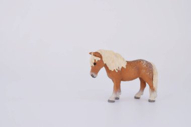 oyuncak minyatür poney, izole plastik oyuncak poney beyaz arkaplan boşluğunda metin için.