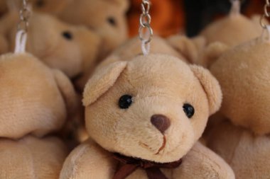 Oyuncak ayılar çocuk oyuncakları farklı renkte oyuncak ayılar favori çocuk oyuncaklarıdır