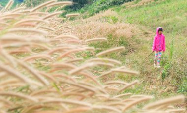 Pembe ceketli Asyalı bir kız, doğa vadisinin ortasında ormanda tek başına macera yaşıyor..