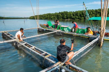 NAKORNSRITHAMMARAT / THAILAND-ECTOBER 4, 2017: Taylandlı balıkçılar güzel bir günde Tayland 'da balık avlıyorlar.
