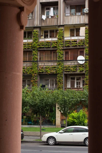 Ventanas Edificio Varios Pisos Decorado Con Flores Verdes Rojas — Foto de Stock