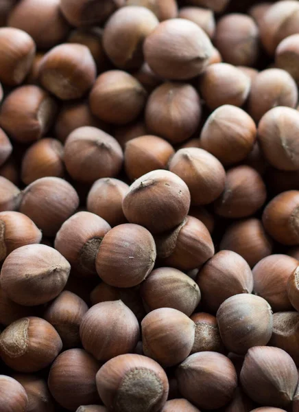 Molte Nocciole Marroni Uno Sfondo Scuro Verticalmente — Foto Stock