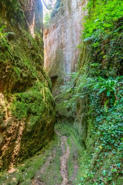 Vie Mağarası, İtalya 'nın güneyindeki Toskana uygarlığı tarafından kazılan sert kayaların içindeki dar ve eski yol.