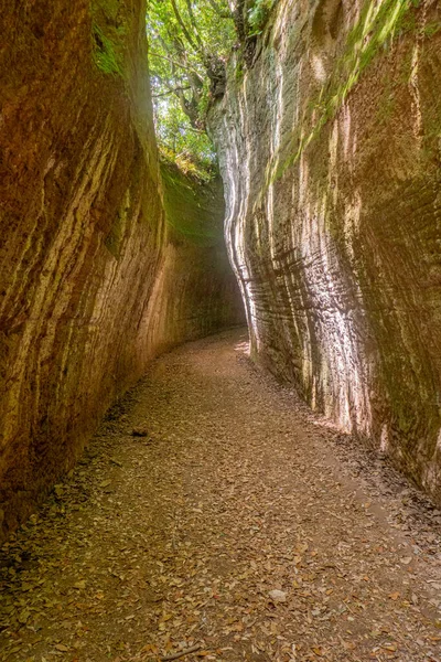 Vie Cave Narrow Ancient Path Touff Rocks Excavated Etruscan Civilization — Stock Photo, Image