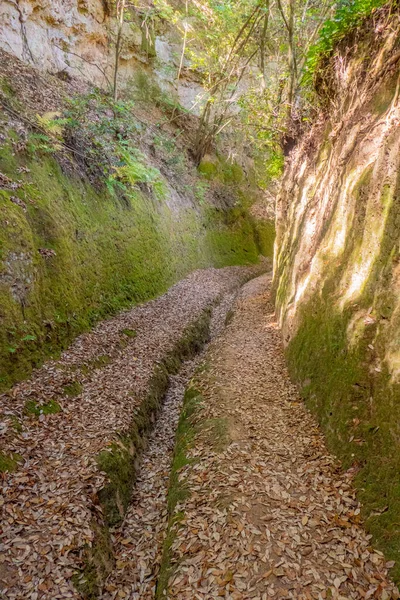 Vie Cave Narrow Ancient Path Touff Rocks Excavated Etruscan Civilization — Stock Photo, Image